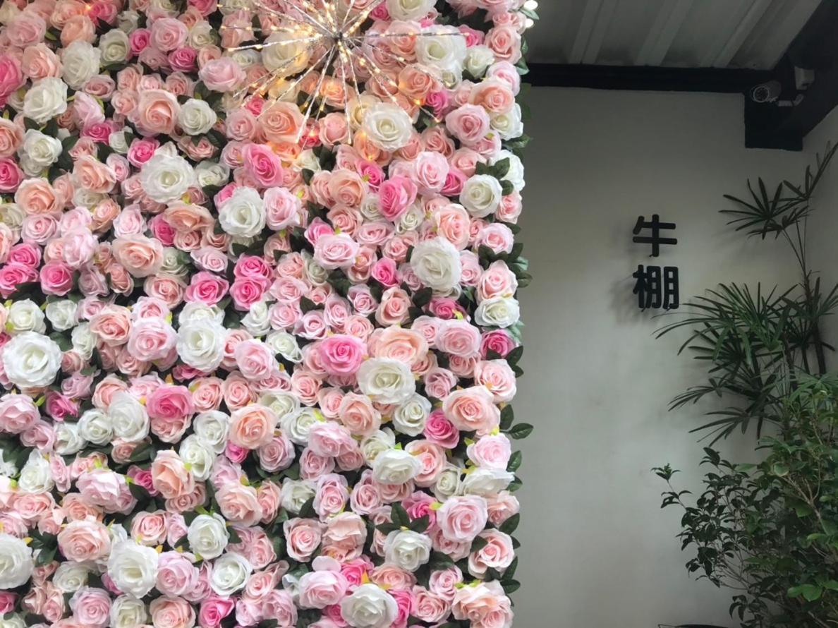 Donghai Cottage Backpack Inn Suite Longjing Exterior foto